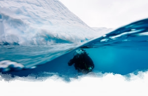 Polar Diving in Greenland – A Journey Beneath the Ice
